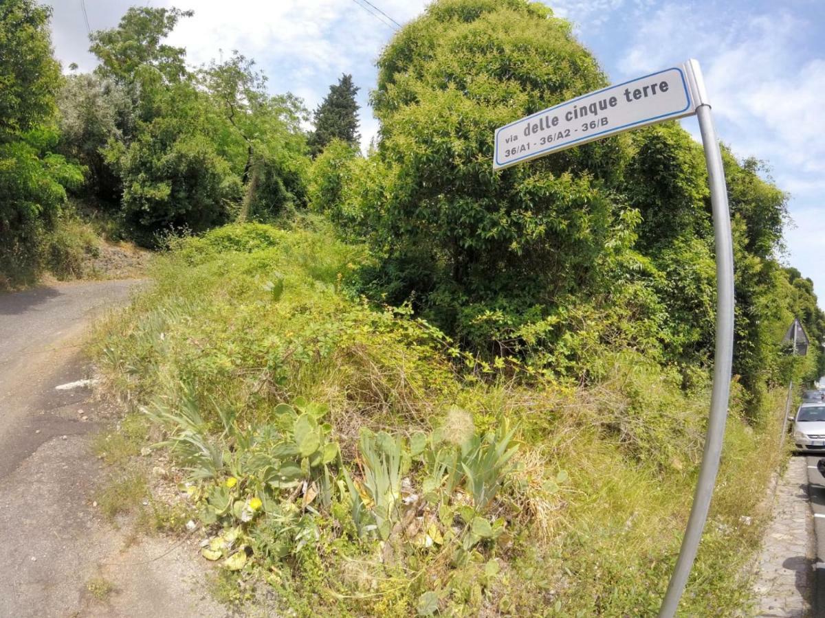 Villa Grazia La Spezia Zewnętrze zdjęcie